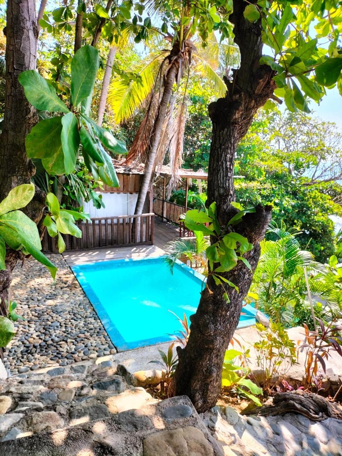 Donde Mira El Sol, Promo Primavera Hasta 50 Por Ciento (Adults Only) Акапулько Экстерьер фото